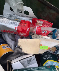 ���������ѩ�����ж����⣿�о����ڶ���ɢ��������ҵ�ζ��