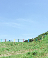 ̨�����֡�ӫ�⺣��������ͽ�����2��������̧ͷ��������