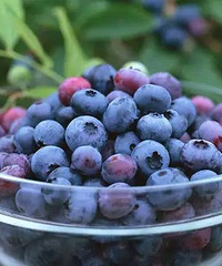 ̨����ݮ��ժ��ͼ���ϣ��Ͻ�ȥժ�������ӡ��ɣ�