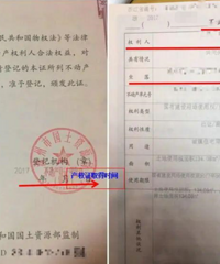 ̨�������������ѧ����ƽ̨�������Ҵ�20��