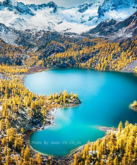 ����Ψһ�ҽа嵾���Ƕ����ؾ����͵�����