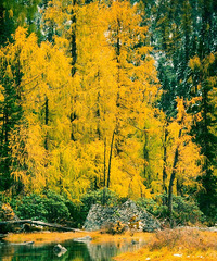 ����Ψһ�ҽа嵾���Ƕ����ؾ����͵�����