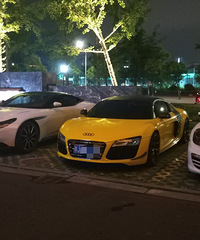 ���������ġ��µ�R8