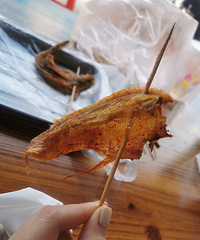 ������¥�ѿ��е�����ըը����ͼ��Ŷ�����