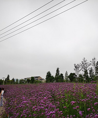 ���ĸ��壬����������ʶ����·��