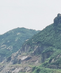 ���ϻƽ��������磬�ֻ���׽������ͼ