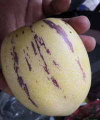 ��ˮ�����ƽ���ô��������Ҳ���ˣ��ڸ�ȴ����