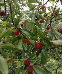 ���غ�̿÷��½�����У�������÷��Ҫ���������