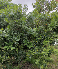 ���غ�̿÷��½�����У�������÷��Ҫ���������