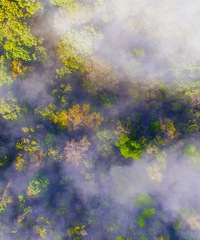 ����������8������ʤ�أ����پ���