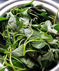 ����Ұ��Ұ�ݣ�һ���»����������