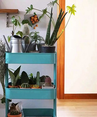 �˼���Ʒ��ֻ����һ����˵��ĺ�����