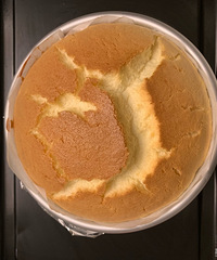 ���絰��ʪ�����棬���������Ǿ�������