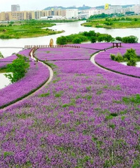 ̨�ݵ���7�����ջ����������˲����������