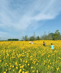 ̨�ݵ���7�����ջ����������˲����������