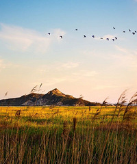 �߽��ƽ����������ɽ����ɫ�ġ���롱С��