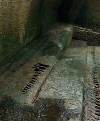 ������󴵺��48Сʱ�����ճ����䴵������