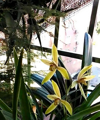 ���۸��᡿���굽�����й��ѻ����ҹ����ѣ�