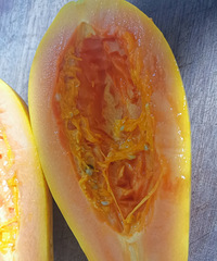 �Լ�����ľ��ţ�̣������ľ�Ϻ�����