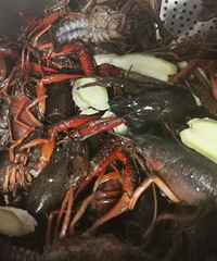 ������Ϻ�Եľ���ԭ֭ԭζ������������ζ��һģһ��