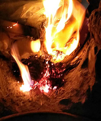 ���ŵ��������ò���������ľ�����