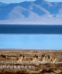 ���������ָ����⿪�ţ���ʱ��ȥ�����ˣ�