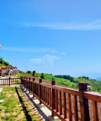 ��ĩȥ�Ķ������ڣ�������̨������Щ����ĵط�