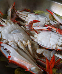 ���յ�з�Ǻܴ࣬з�ⶼ��һ��һ���ĺܱ���