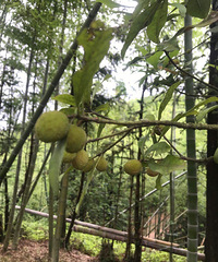 һ������30����񣬴��˵˵�������ô�Ժ�ѽ��