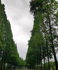 ����������Ϳ�Լݴ��磬�羰�ܲ���