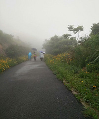 �����糵��·��·�ߵ�С�ƻ�Ҳ��Ư��