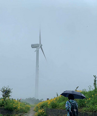 �����糵��·��·�ߵ�С�ƻ�Ҳ��Ư��