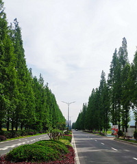 ���µ����һ����ȥ�ٺ���᮵��޴�