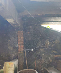 ���µ����һ����ȥ�ٺ���᮵��޴�