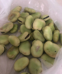 �϶����̲������ܼ򵥣����Һ��·�