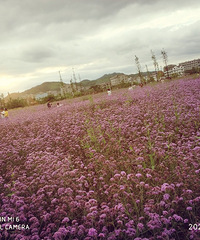 �½�����򿨵�-"������˹"��ȫ�����λð����ɫ