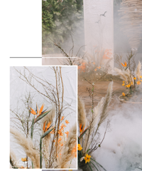 һ��25������飬Ϊ��ĸ����һ���������