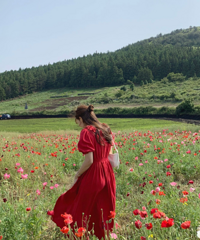 ���ġ� �۹�ȹ ���ֻ��� ������С�����ȳ�������Ů��һ��Ҫ��