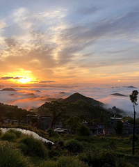 �����죡̨����һ�������ֳ���������Ӱ�أ�