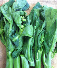 ����̫�����д�������ƽ��������򵥵�˽����