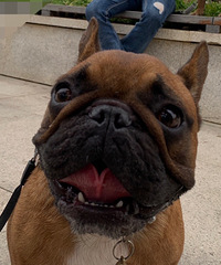 Ѱ��3000��л