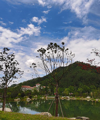 ˵�߾��ߵ����У��������еķ���