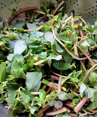 ����ʲô�ݣ���˵ȥ��ܺ�