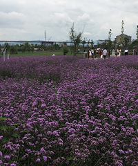 ����ʪ�ع�԰�򿨣�����Ҳ����ɽ�˺���