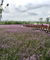 ����ʪ�ع�԰�򿨣������ʱ��Ҳ��ɽ�˺�