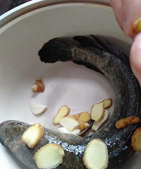 砂锅黄酒炖黑鱼,烧好了味道还不错