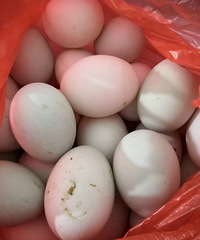 ��˵���е�ֻ��������Ԫһ����������Ķ���һ��