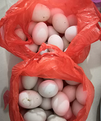 ��˵���е�ֻ��������Ԫһ����������Ķ���һ��