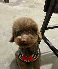 ���깫̩�����¼�