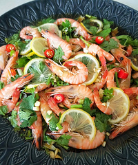 �����ʺϳ�����ˣ�һ�����������Ϻ������